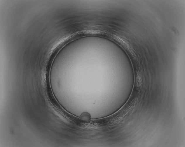 X0000115190535200911121824