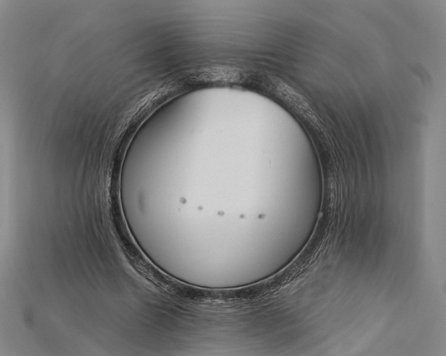 X0000115190538200911121824