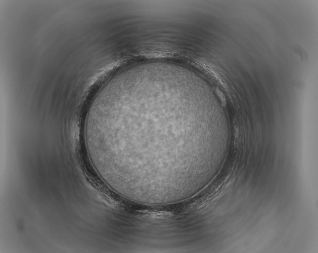 X0000115190539200911121824