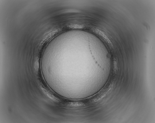 X0000115190541200911121824