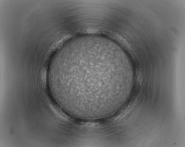 X0000115190542200911121824