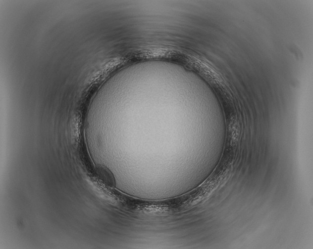 X0000115190546200911121824