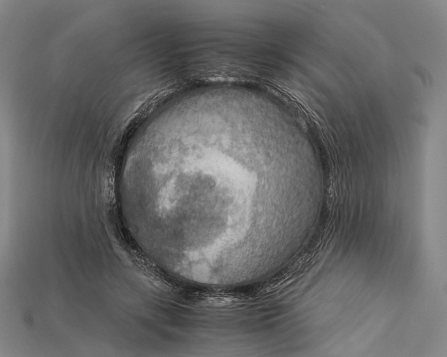 X0000115190547200911121824