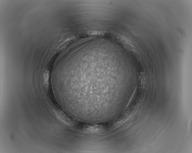 X0000115190550200911121824