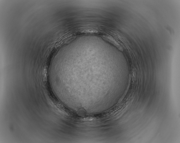X0000115190551200911121824