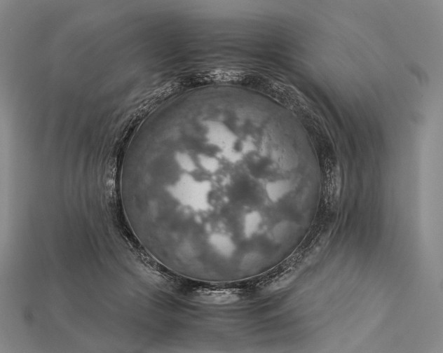 X0000115190553200911121824