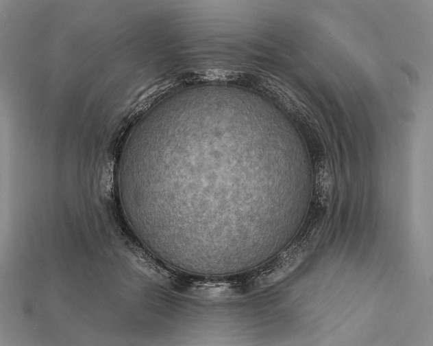 X0000115190554200911121824