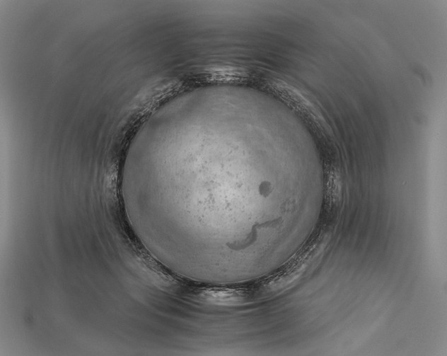 X0000115190557200911121824