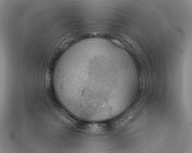 X0000115190558200911121824