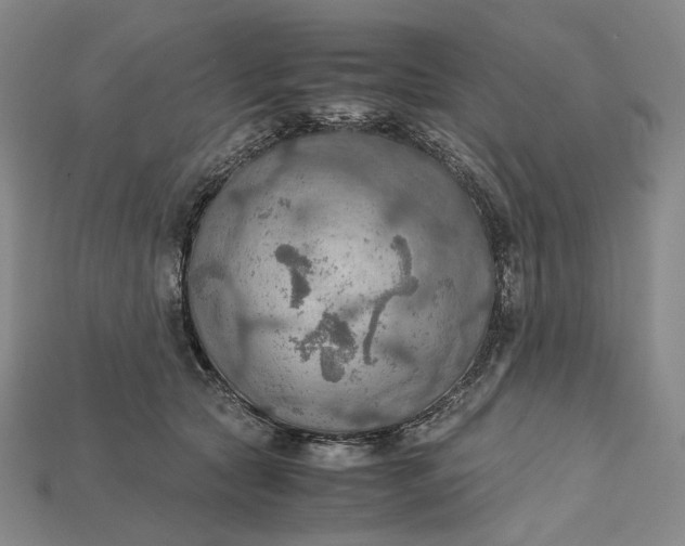 X0000115190561200911121824
