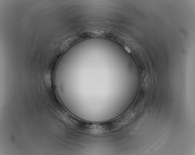 X0000115190562200911121824