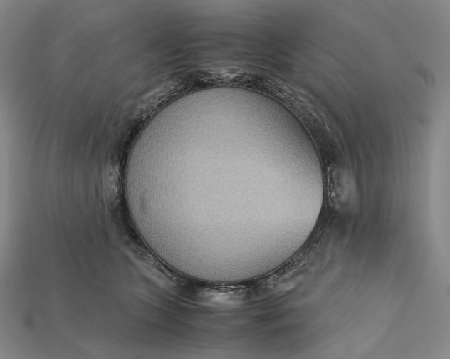 X0000115190563200911121824