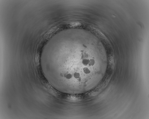 X0000115190565200911121824
