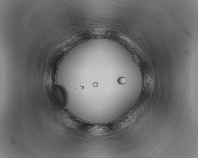 X0000115190566200911121824