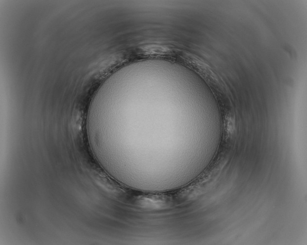 X0000115190567200911121824