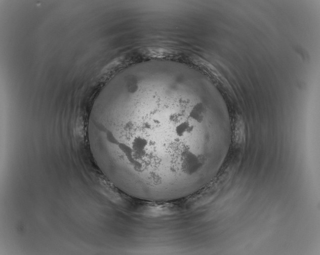 X0000115190569200911121824