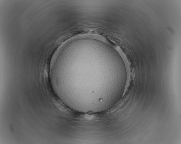 X0000115190570200911121824