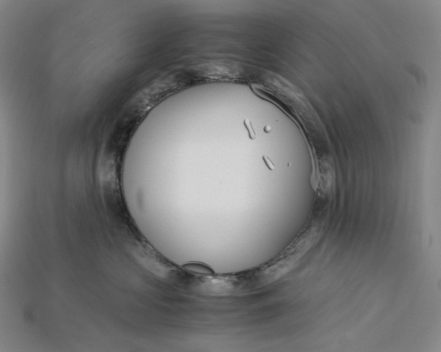 X0000115190573200911121824