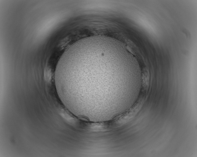X0000115190574200911121824