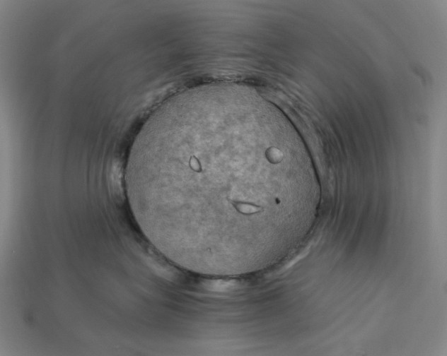 X0000115190575200911121824