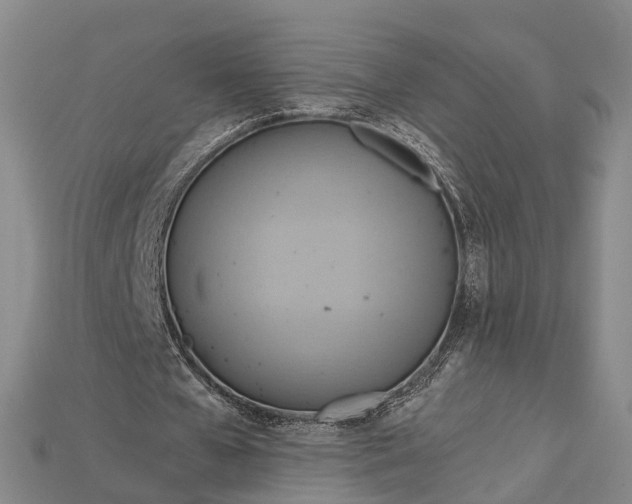 X0000115190577200911121824