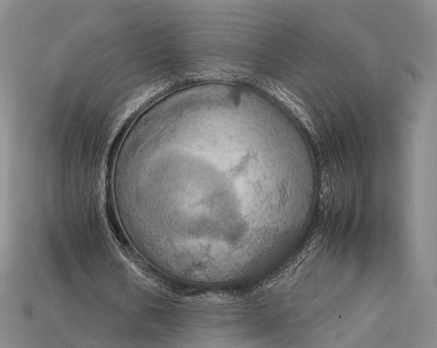 X0000115190578200911121823