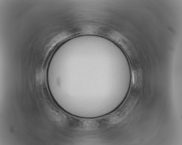 X0000115190579200911121823