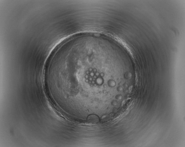 X0000115190580200911121823