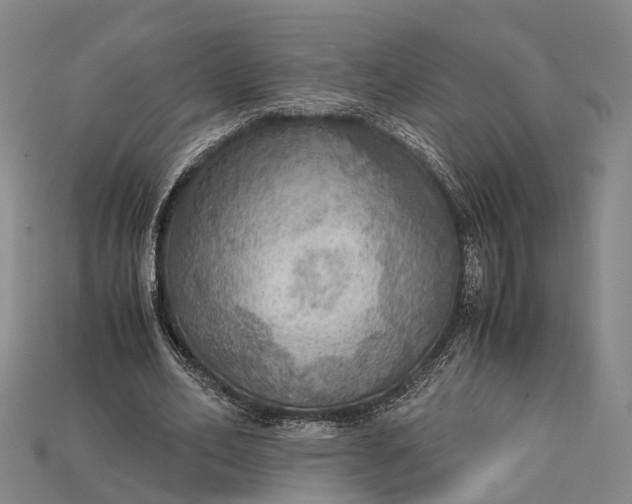 X0000115190582200911121823