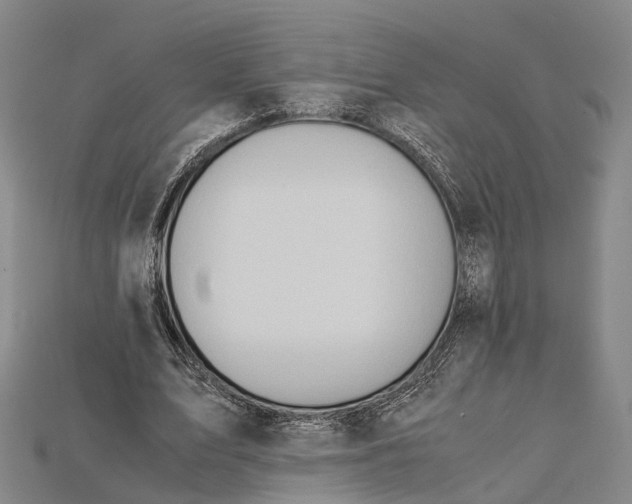 X0000115190583200911121823