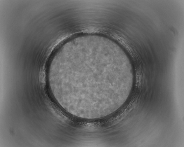 X0000115190584200911121823