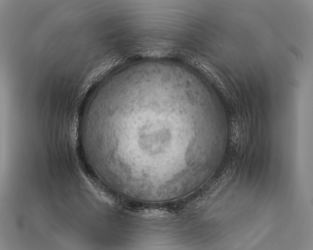 X0000115190586200911121823
