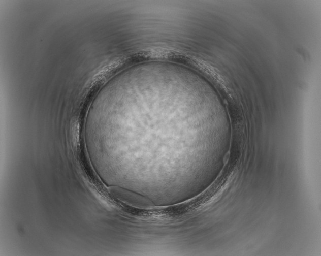 X0000115190589200911121823