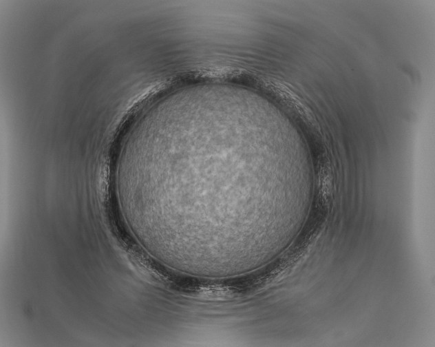 X0000115190591200911121823