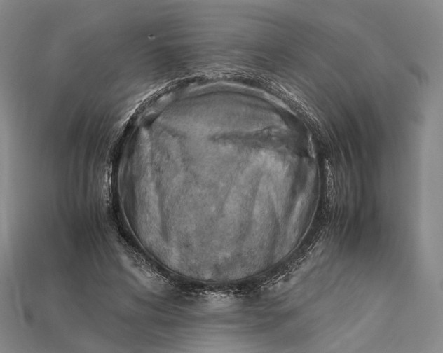 X0000115190592200911121823