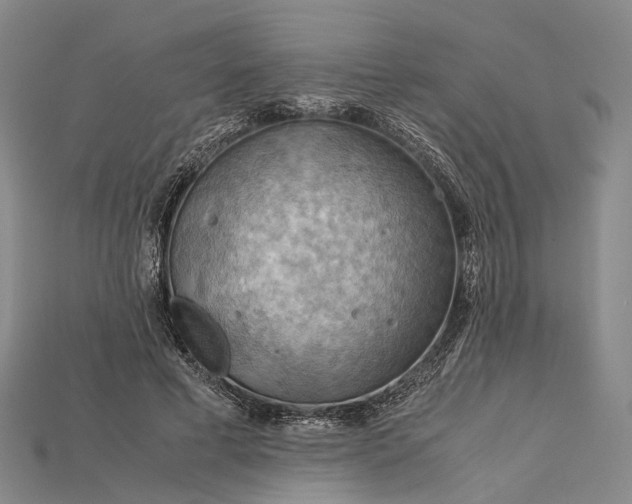 X0000115190593200911121823