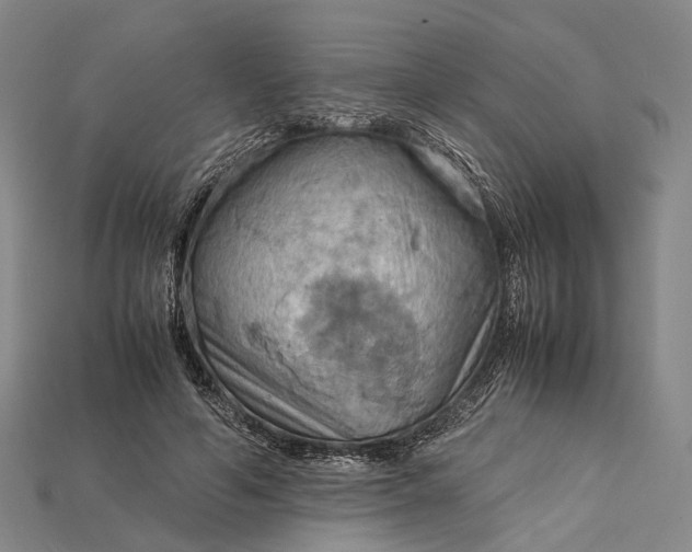 X0000115190594200911121823