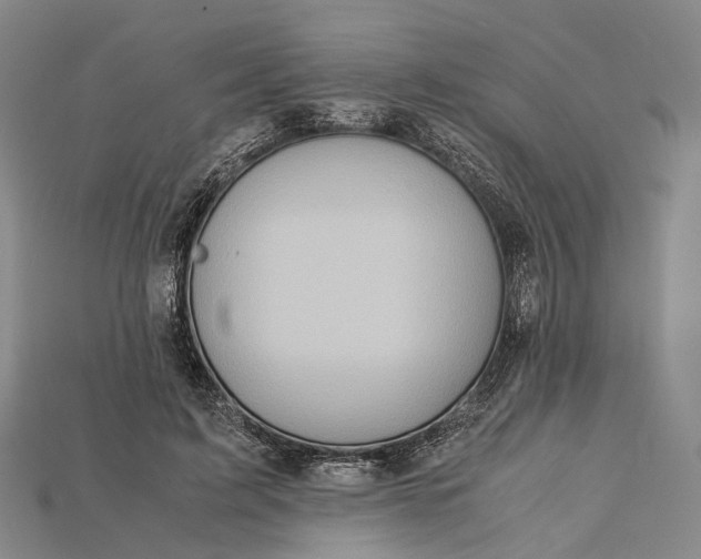 X0000115190595200911121823