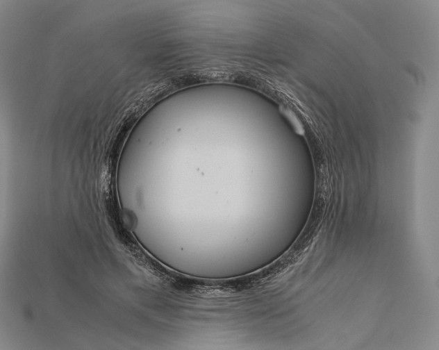 X0000115190597200911121823