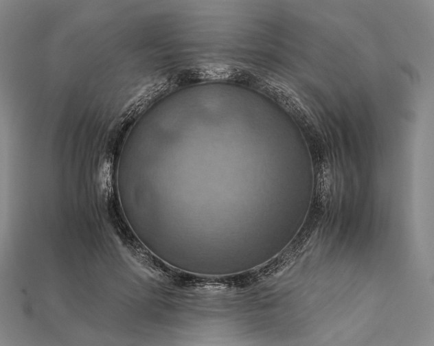 X0000115190598200911121823
