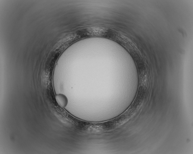 X0000115190599200911121823