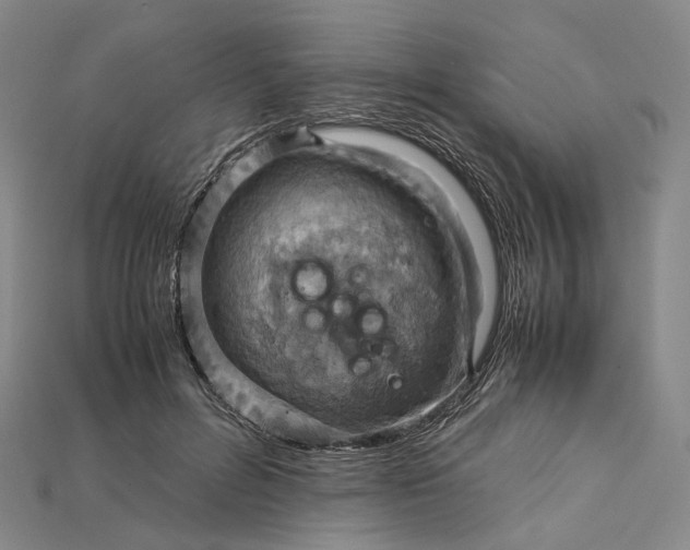 X0000115190600200911121823