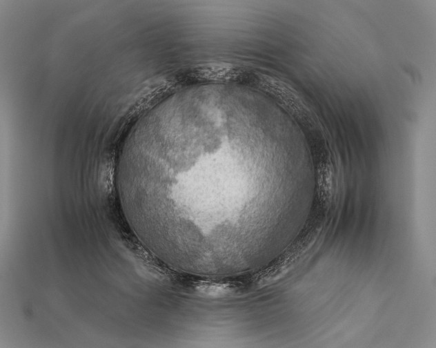 X0000115190602200911121823