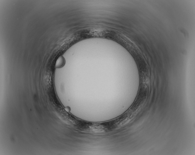 X0000115190603200911121823