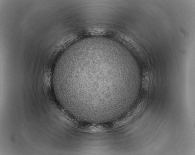 X0000115190604200911121823