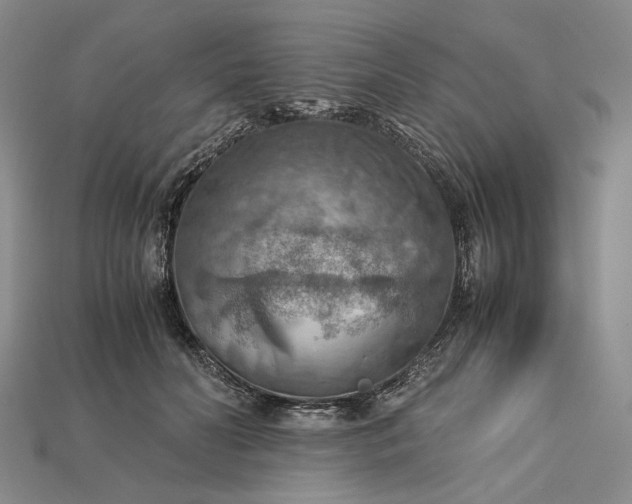 X0000115190606200911121823