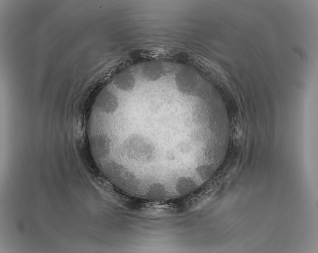 X0000115190607200911121823