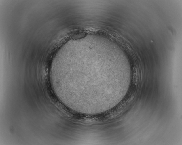 X0000115190608200911121823