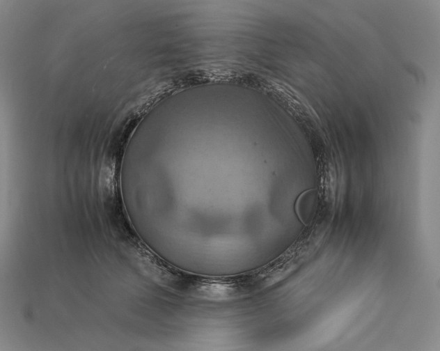 X0000115190610200911121823