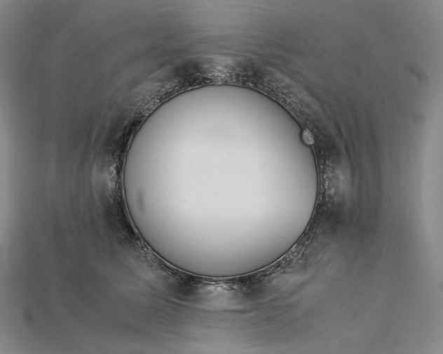 X0000115190611200911121823